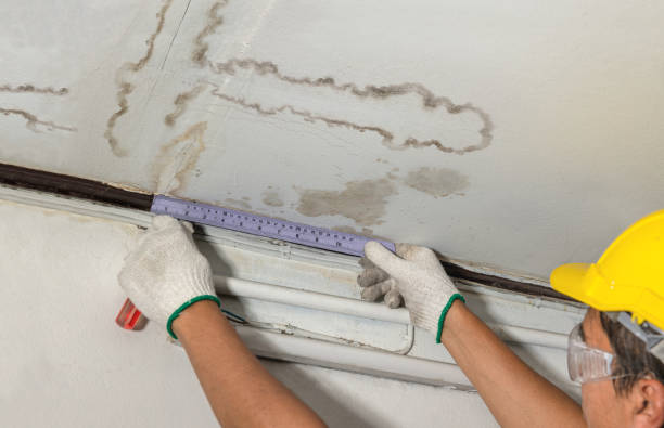 Reliable Burst Pipe Cleanup contractor in Washington, VA by Water Damage Irwin